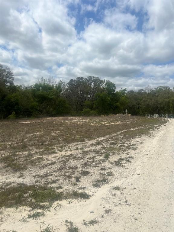Cleft Rock St., Webster, FL 33597