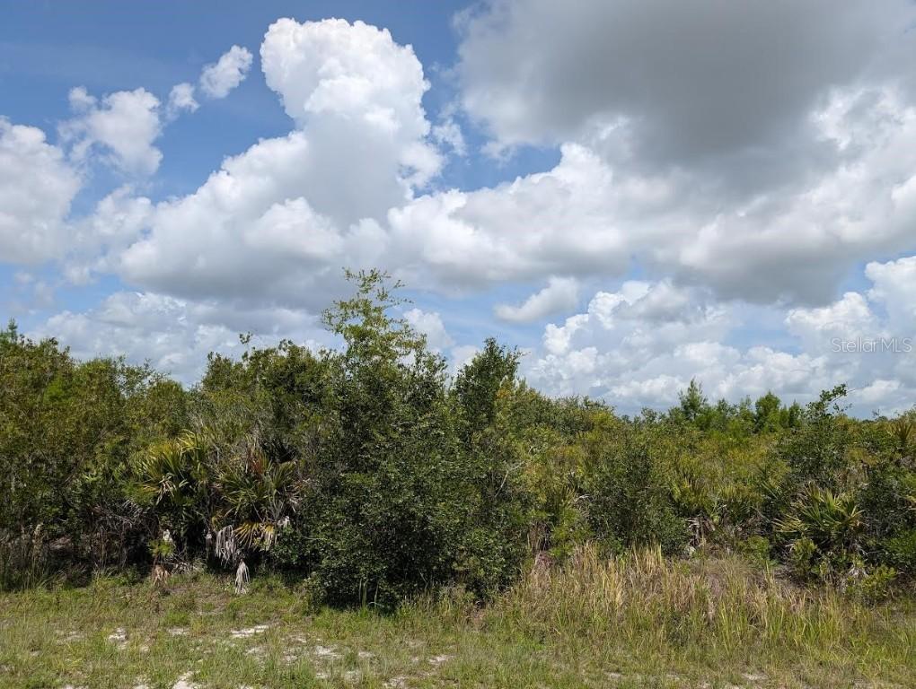 St Petersburg Dr., Indian Lake Estates, FL 33855