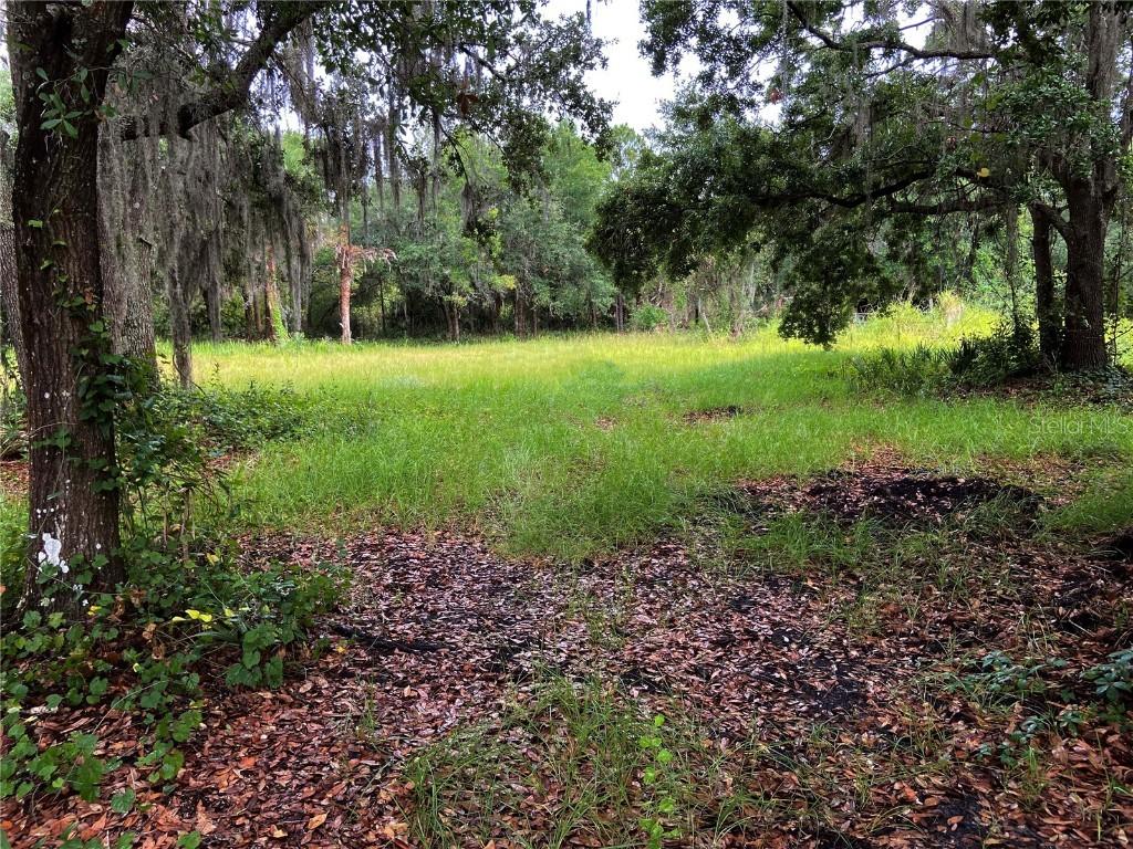 Lightfoot Rd., Wimauma, FL 33598