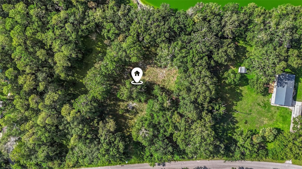 26148 Foamflower Blvd., Wesley Chapel, FL 33544