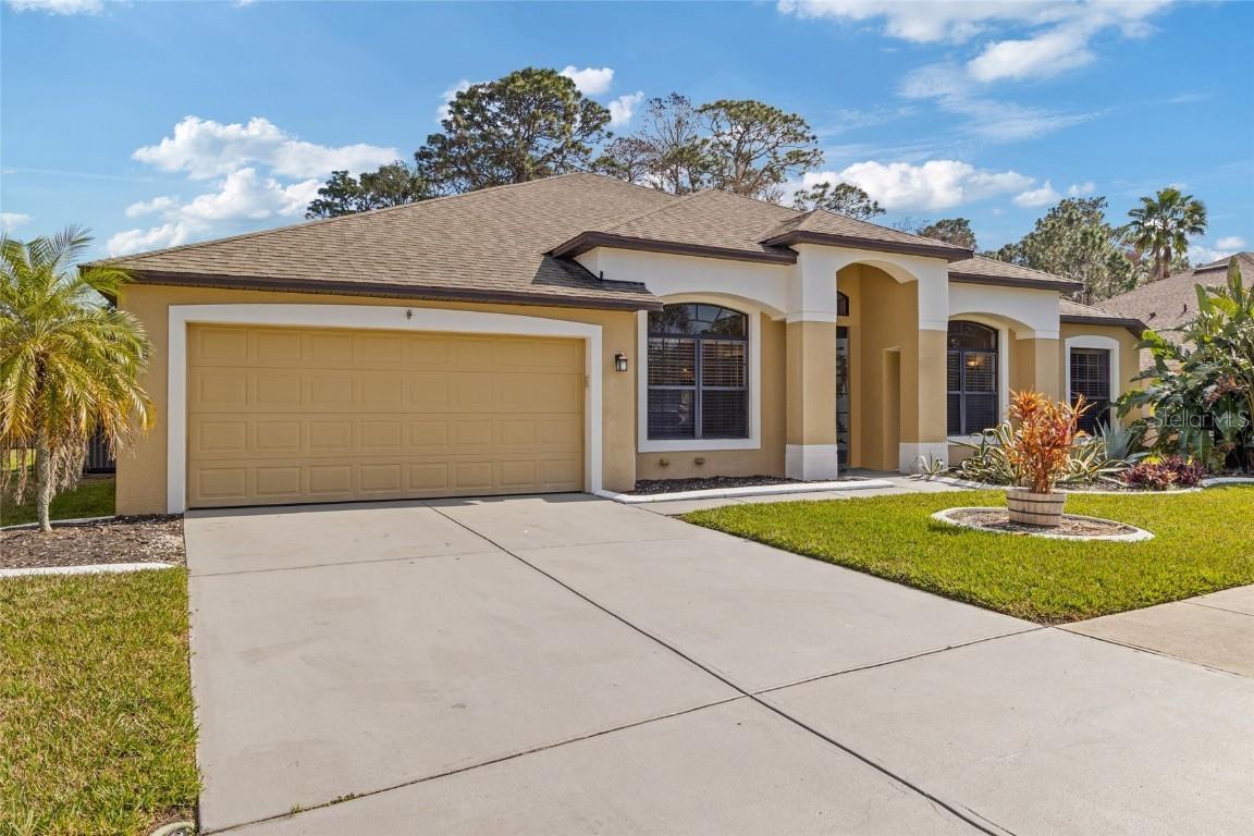 10918 Rain Lilly Pass, Land O Lakes, FL 34638