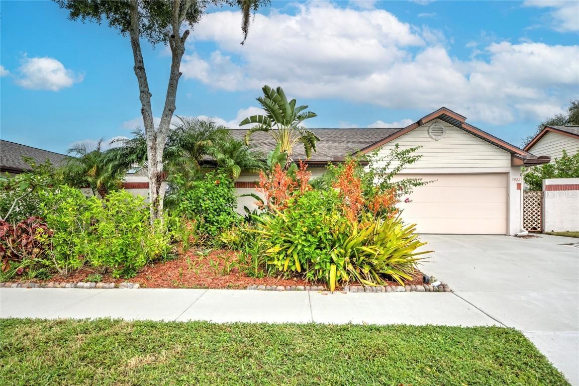 7022 Drury St., Tampa, FL 33635