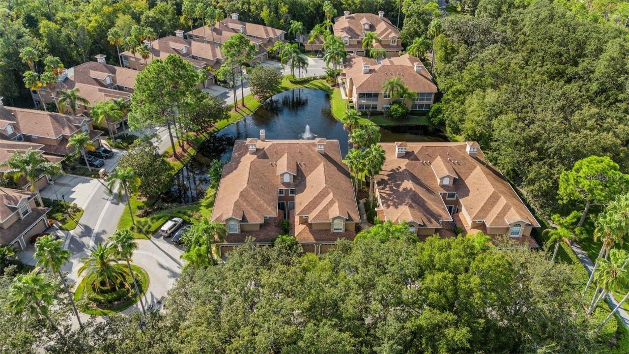 4251 Preserve Pl., Palm Harbor, FL 34685
