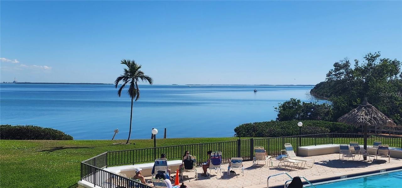 6372 Palma Del Mar Blvd. #217, St Petersburg, FL 33715