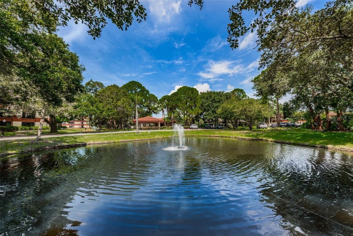 2650 Countryside Blvd. #F110, Clearwater, FL 33761