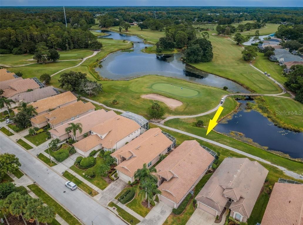 4350 Live Oak Blvd., Palm Harbor, FL 34685