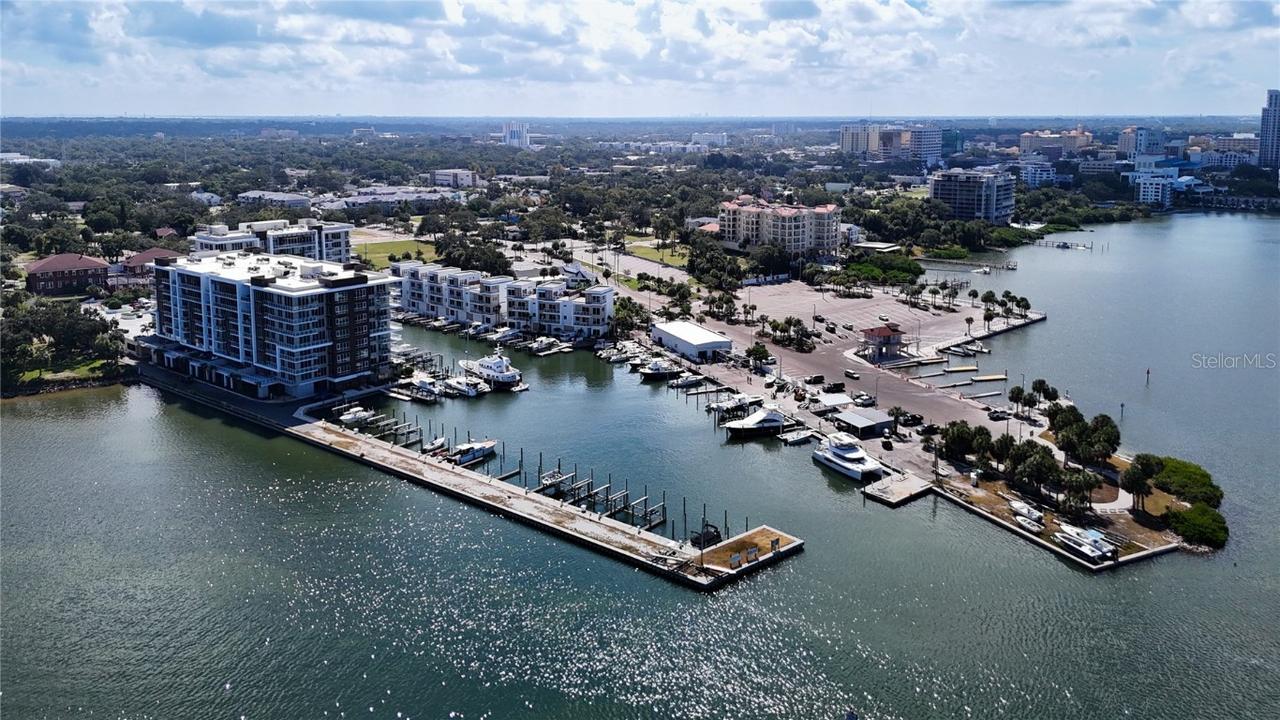 920 N Osceola Ave. #703, Clearwater, FL 33755