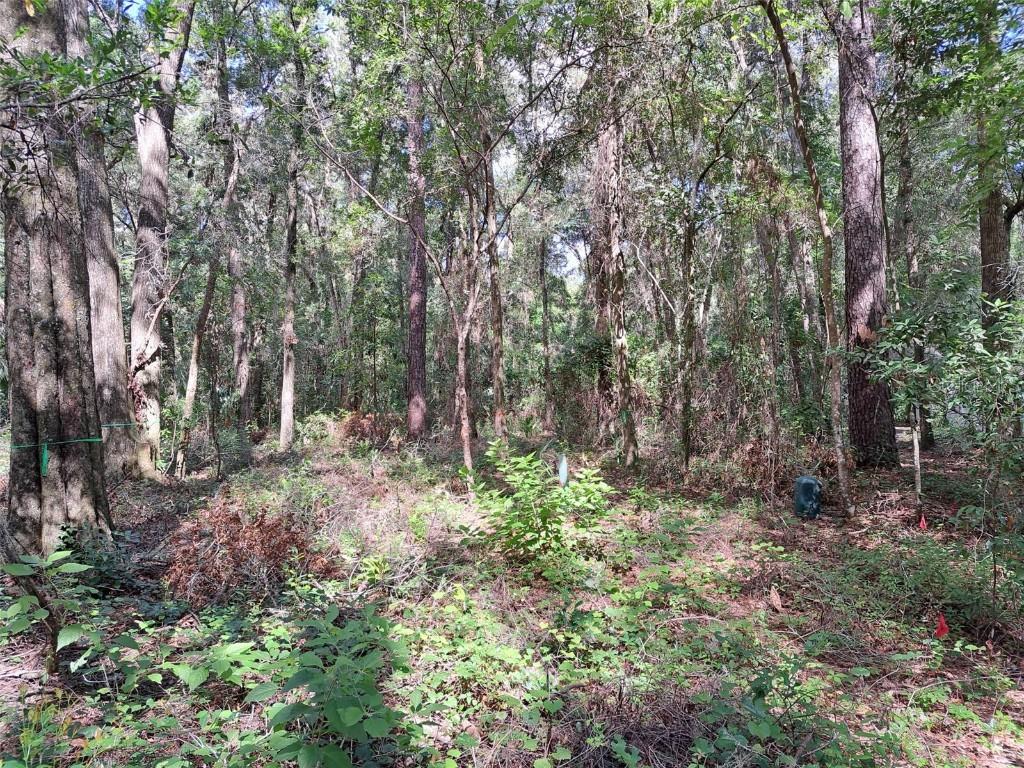 2164 SW 37 Ct., Gainesville, FL 32608