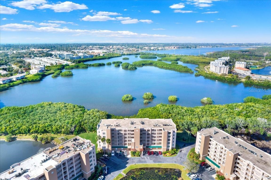 6251 Shoreline Dr. #2102, St Petersburg, FL 33708