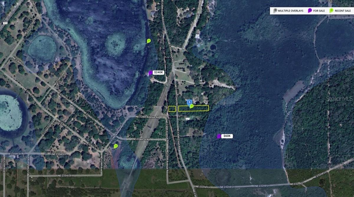 Northeast 130th Ct., Fort Mc Coy, FL 32134