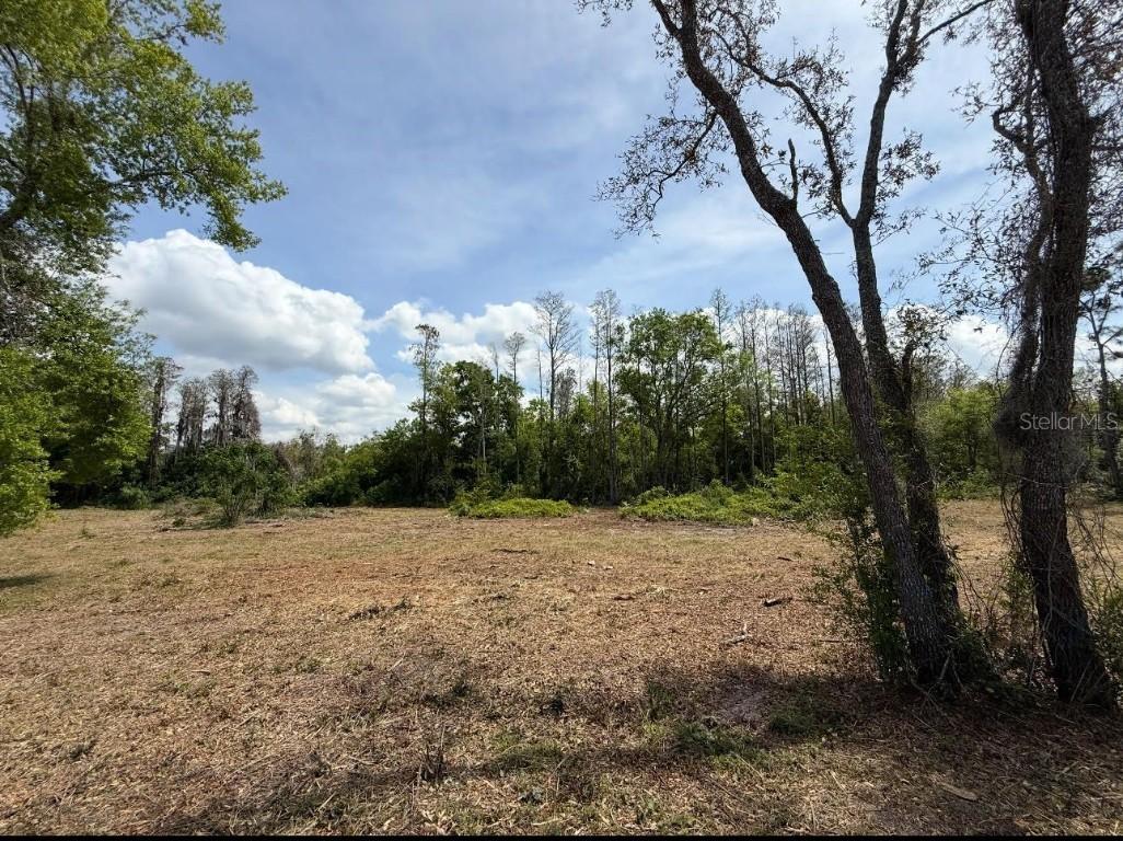9906 Hilltop Dr., New Port Richey, FL 34654