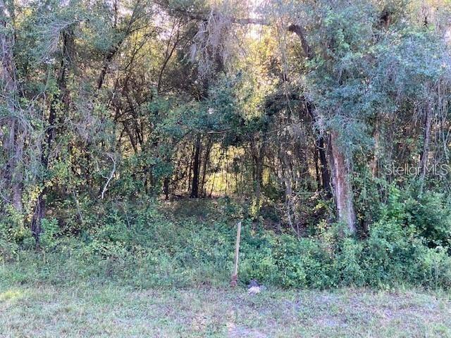 [Address Hidden by Seller], Spring Hill, FL 34606