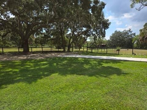 8132 Honeybee Ln., Tampa, FL 33635