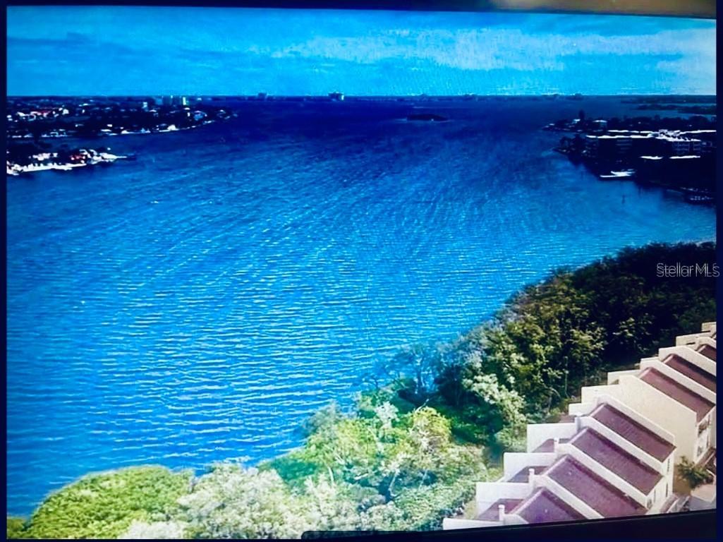 1710 Lighthouse Ter. #1, South Pasadena, FL 33707