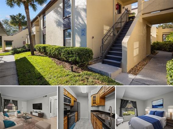 New Homes For Sale This Week in Carrollwood Village: November 22nd to November 28th