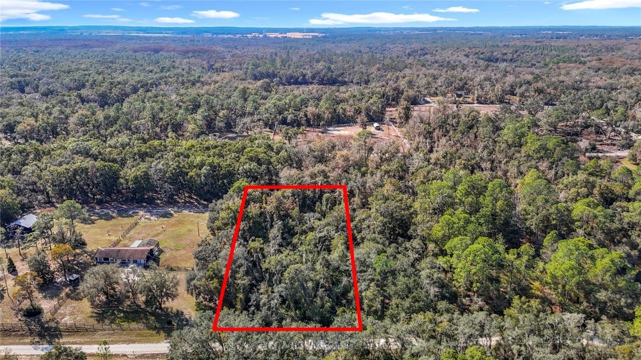 7241 Sonia Ave., Webster, FL 33597