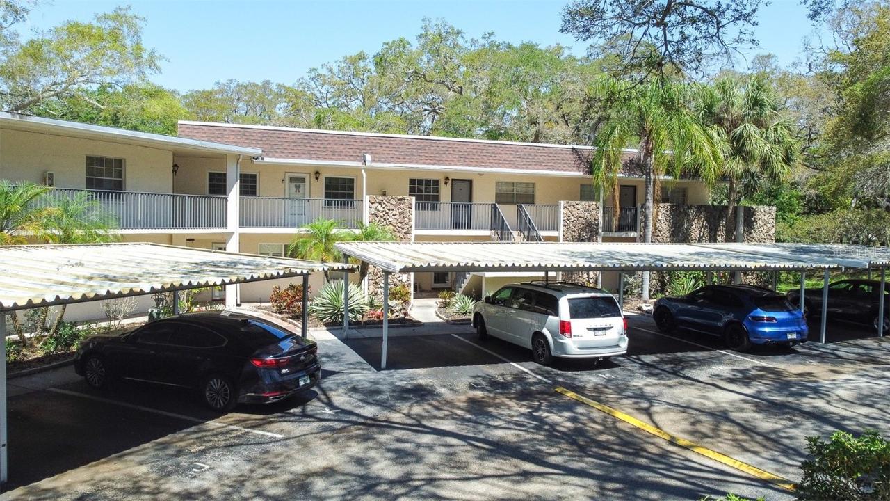 820 Patricia Ave. #207, Dunedin, FL 34698