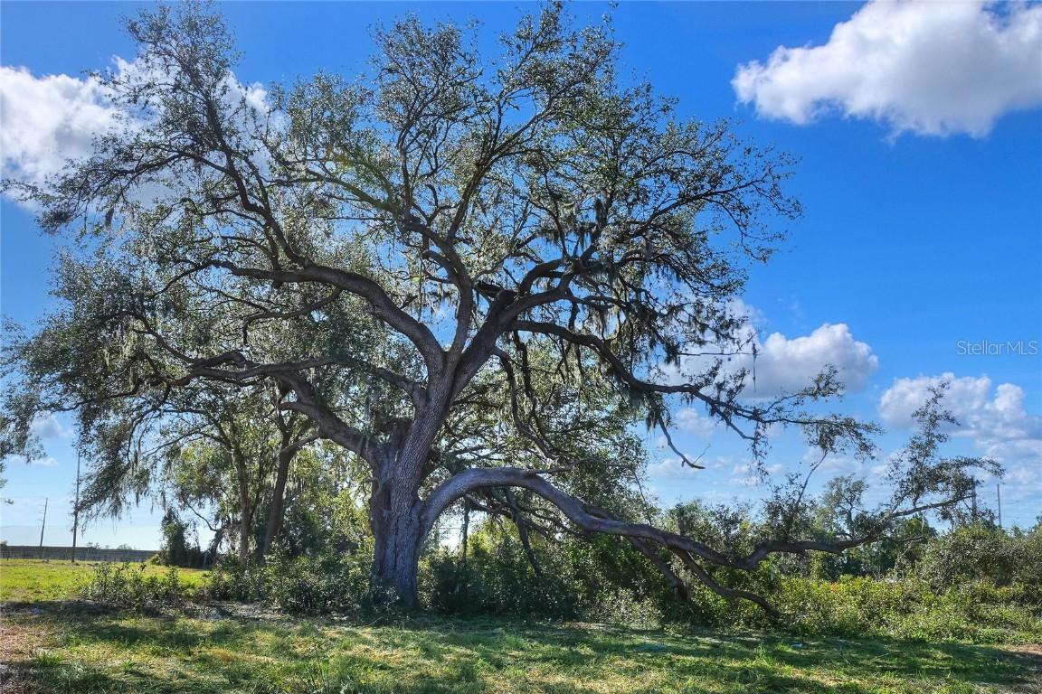 Bledsoe Loop, Lithia, FL 33547