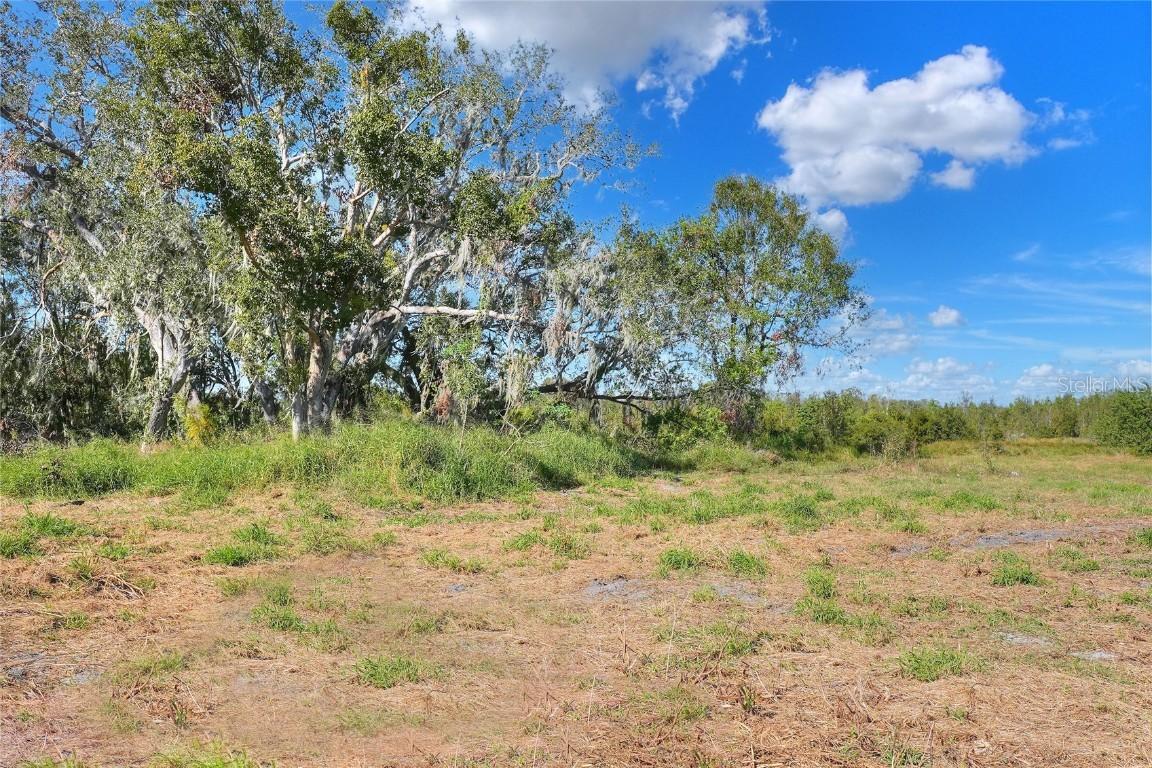 Bledsoe Loop, Lithia, FL 33547