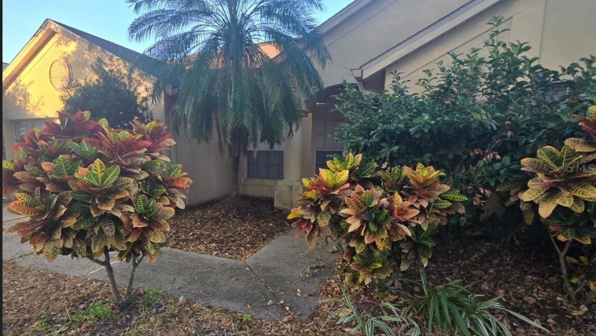 [Address Hidden by Seller], Tampa, FL 33625