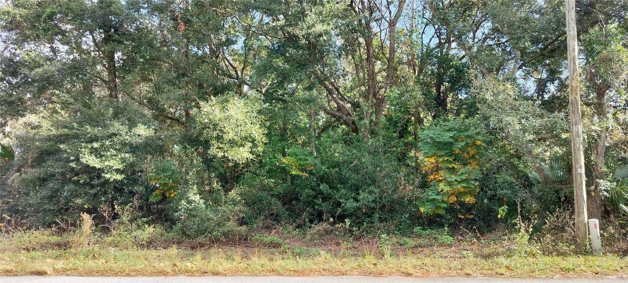973 N Maynard Ave., Lecanto, FL 34461