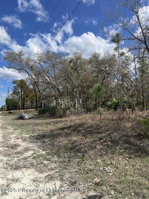 10180 Zebrafinch Ave., Weeki Wachee, FL 34614