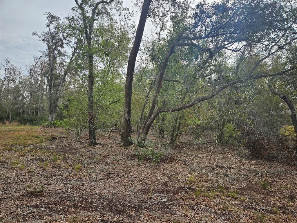Candis Rd, Plant City, FL 33565