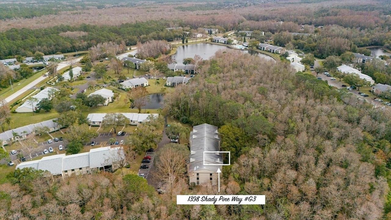 1398 Shady Pine Way #G3, Tarpon Springs, FL 34688