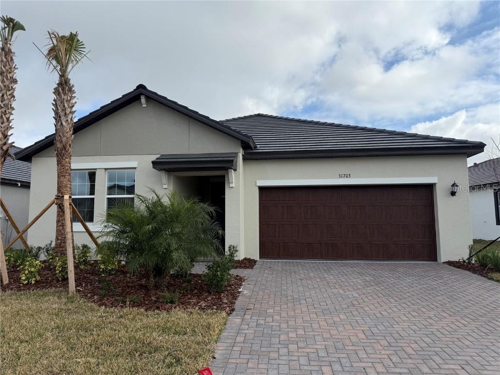31703 Griffin Sands Ln., San Antonio, FL 33576