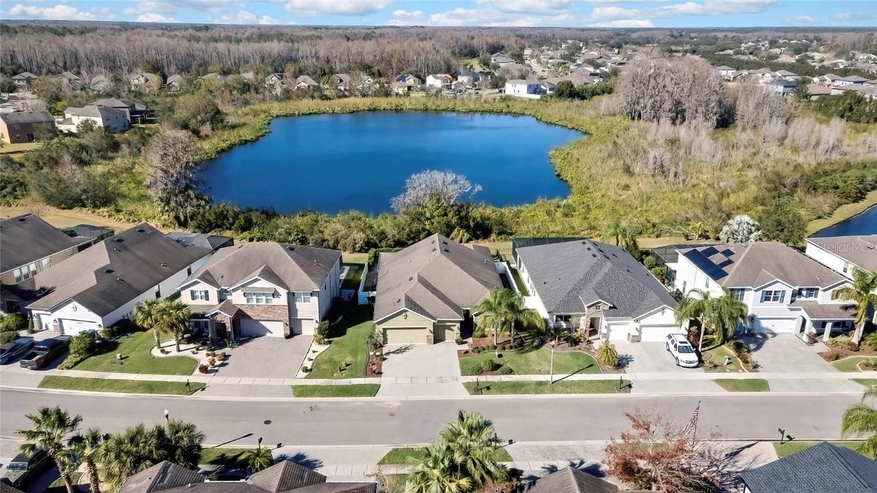 22583 Cherokee Rose Pl., Land O Lakes, FL 34639