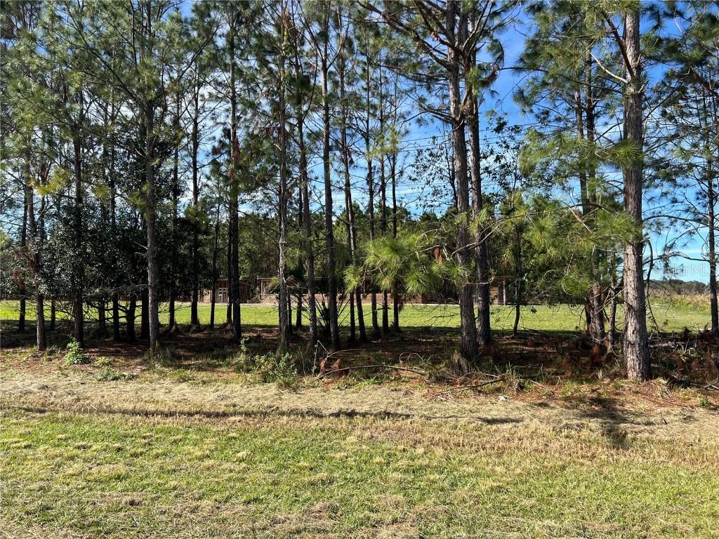 17609 Bledsoe Loop, Lithia, FL 33547