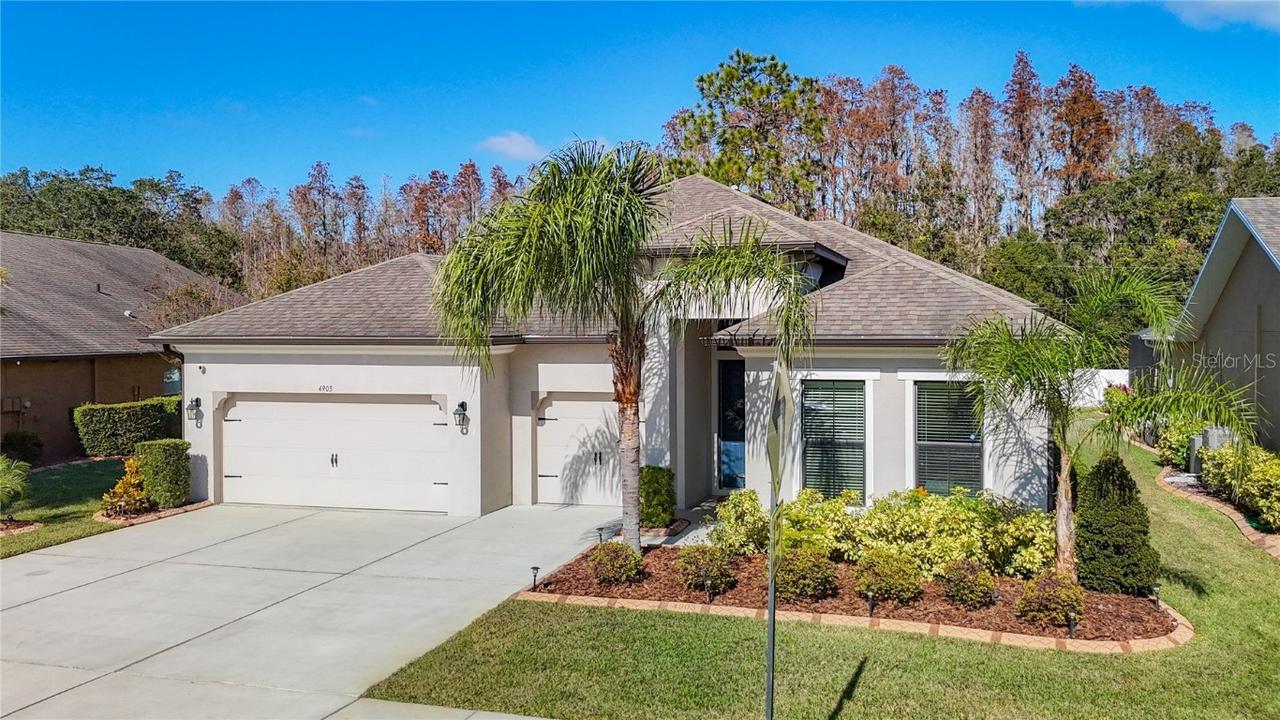 4903 Diamonds Palm Loop, Wesley Chapel, FL 33543