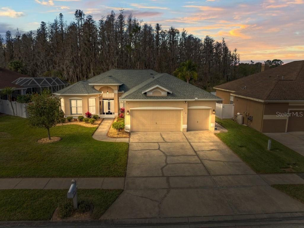 28725 Falling Leaves Way, Wesley Chapel, FL 33543