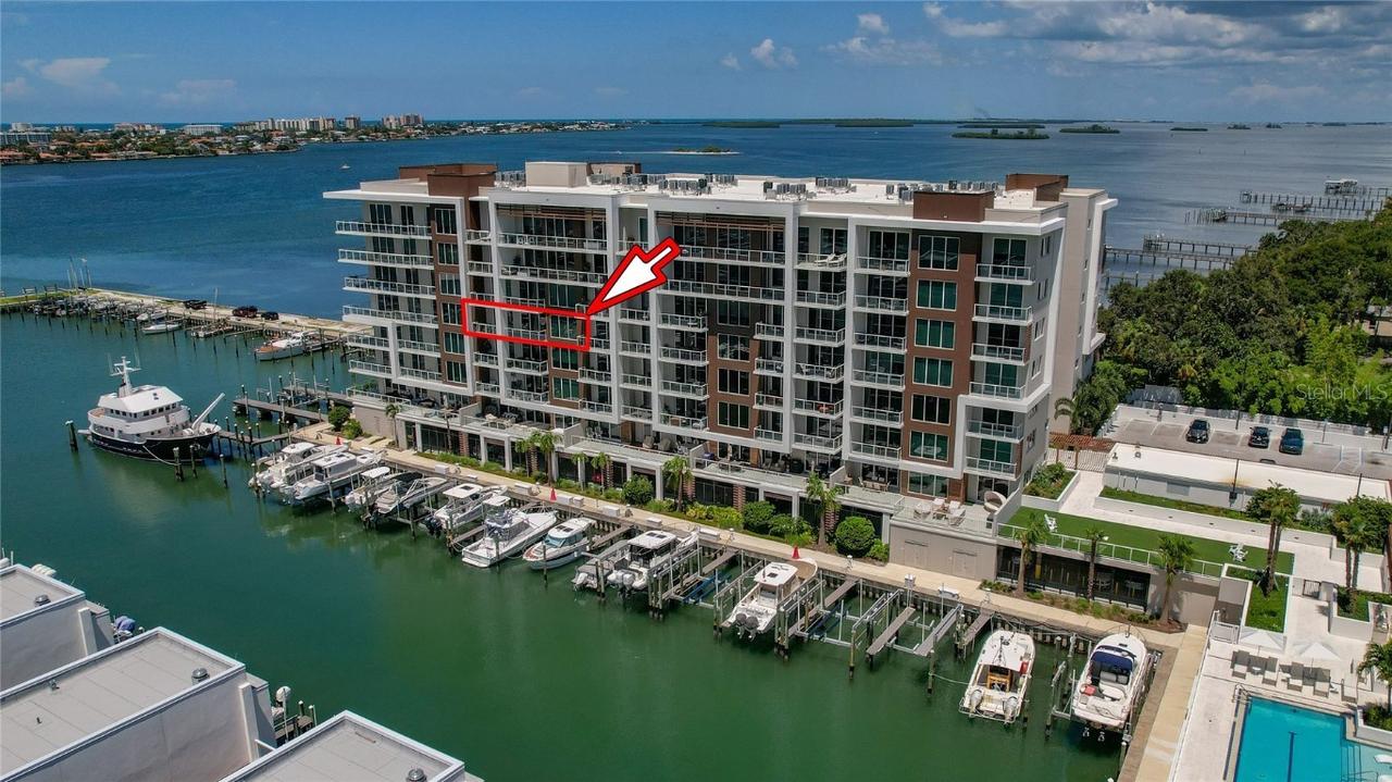920 N Osceola Ave. #507, Clearwater, FL 33755