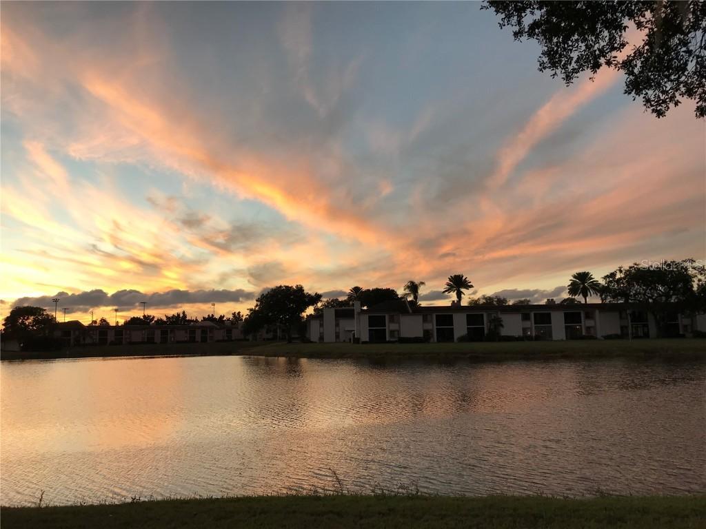 225 Nina Way, Oldsmar, FL 34677