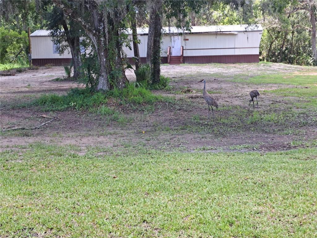 1463 Bobolink St., Zephyrhills, FL 33540