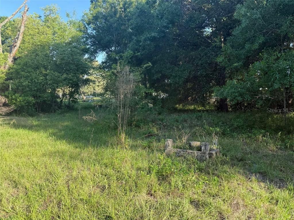 7106 Sky Dr., Wesley Chapel, FL 33545