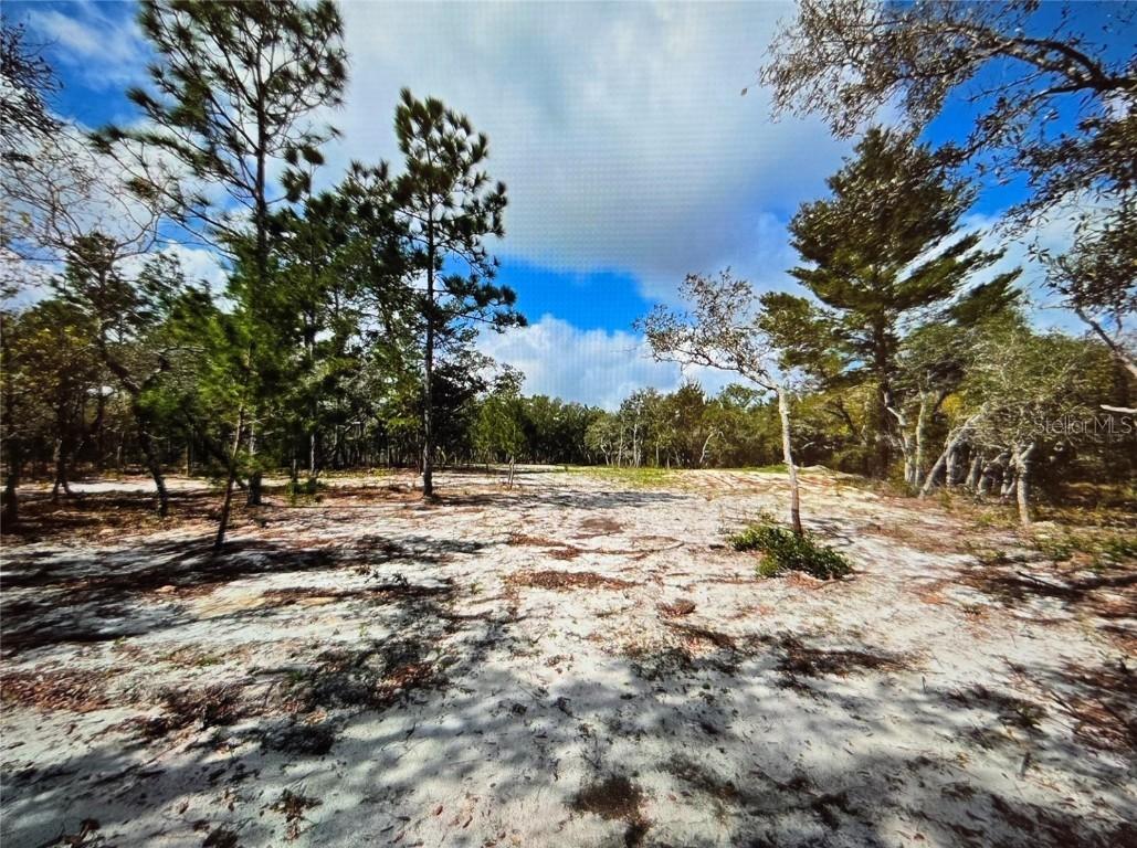 13100 Saddleback Tr., Hudson, FL 34667