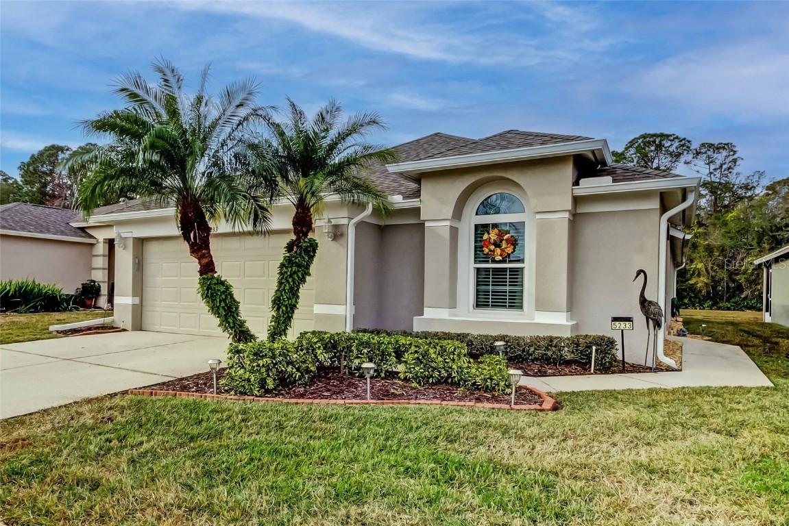 5233 Gato Del Sol Cir., Wesley Chapel, FL 33544