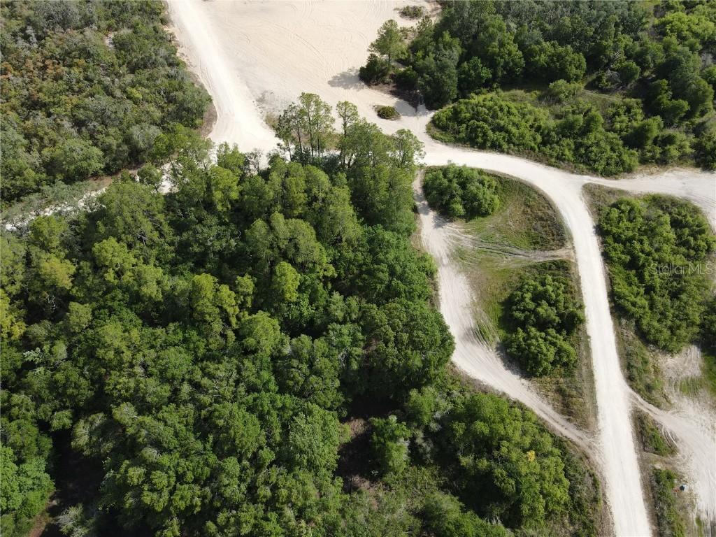 Coral Rock Dr., Webster, FL 33597