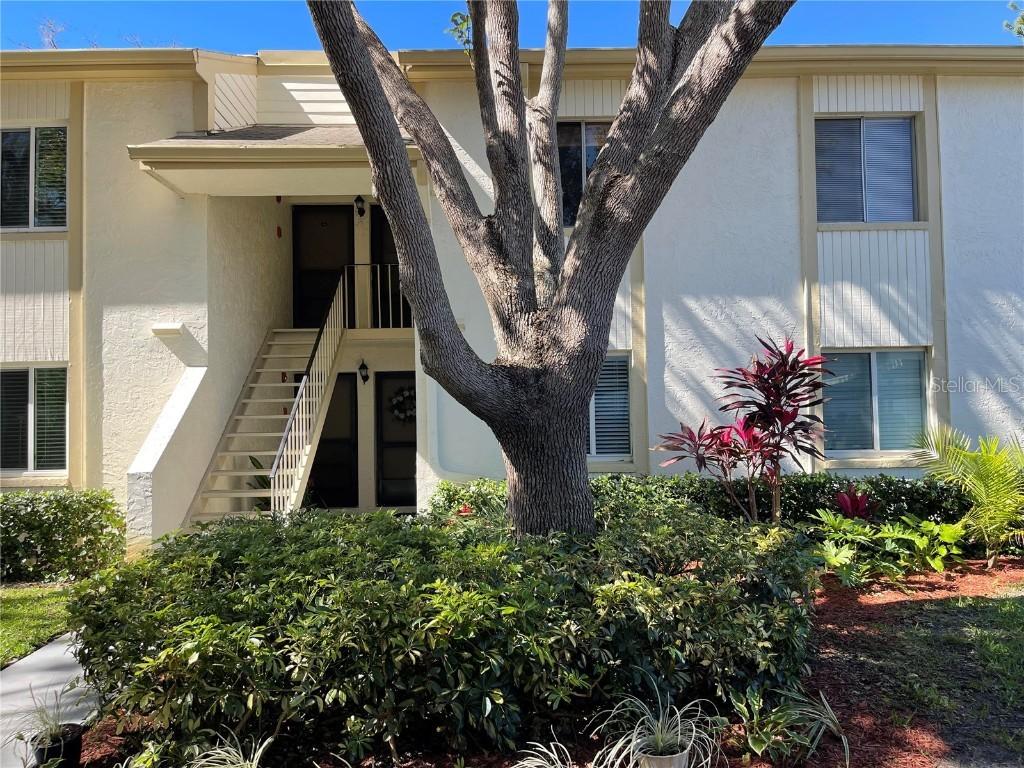 138 Cypress Ct., Oldsmar, FL 34677