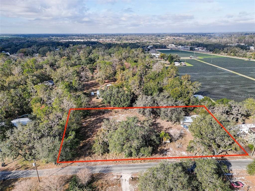 1409 Wilkinson Dr., Plant City, FL 33566