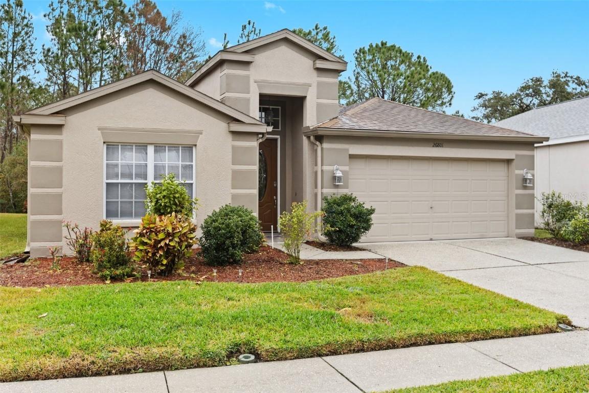 26801 Middleground Loop, Wesley Chapel, FL 33544