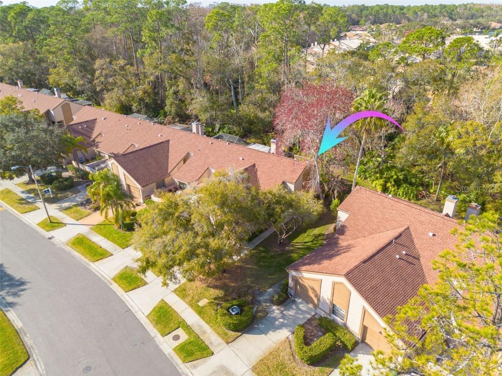 3985 Mermoor Dr., Palm Harbor, FL 34685