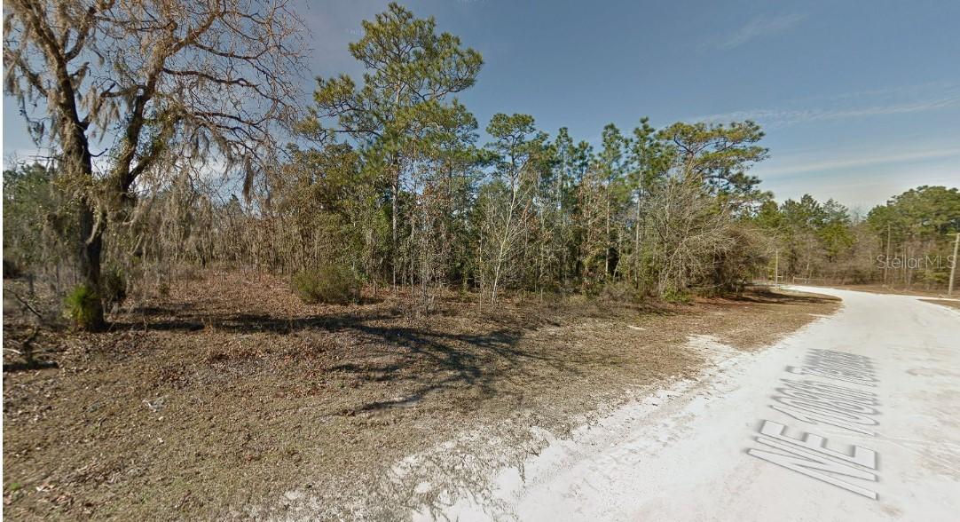 NE 108th Ter., Archer, FL 32618