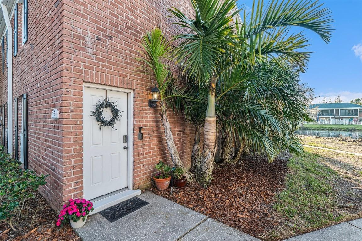 13716 Orange Sunset Dr., Tampa, FL 33618