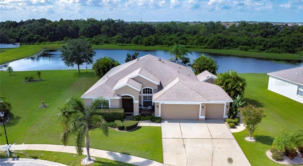 10919 Australian Pine Dr., Riverview, FL 33579