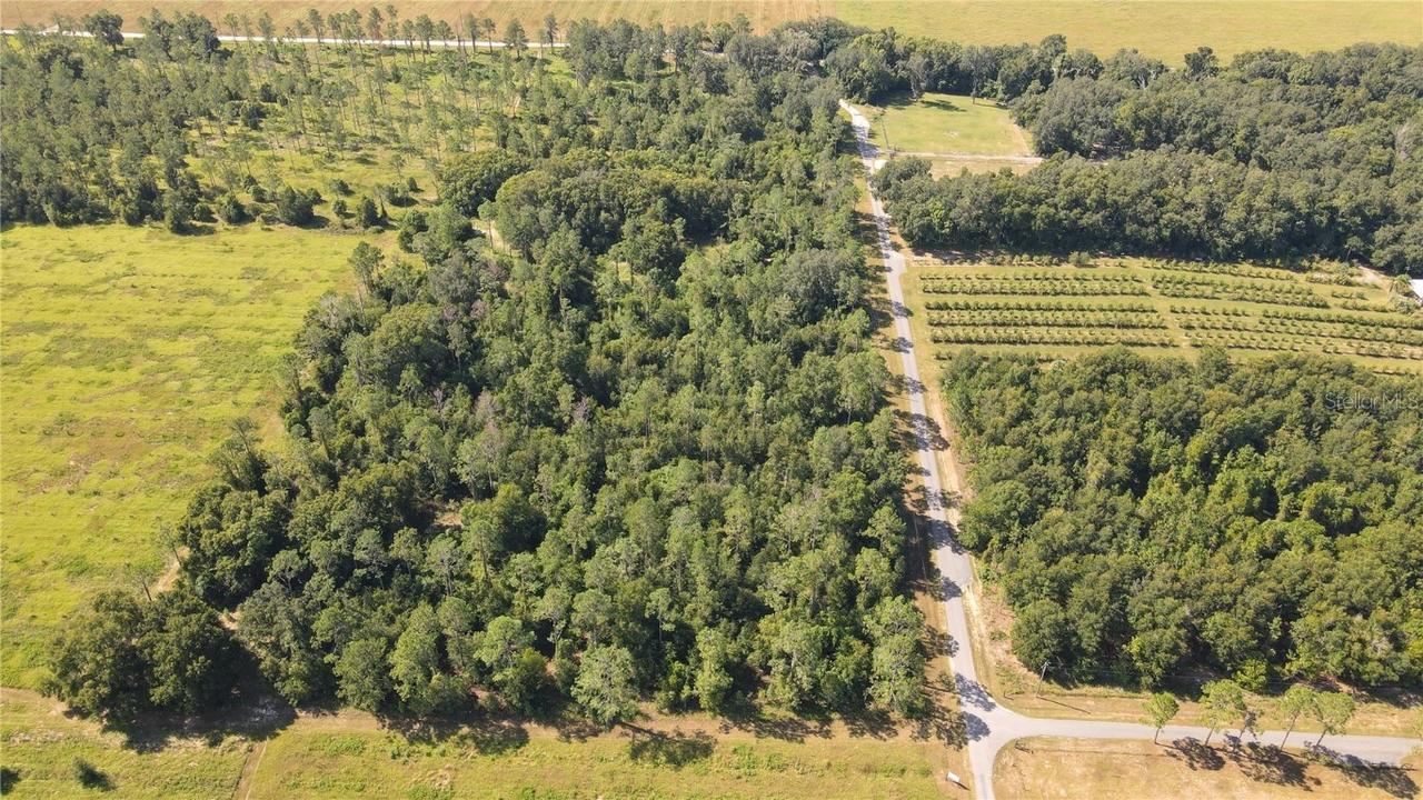 Amberlea Rd., Dade City, FL 33523