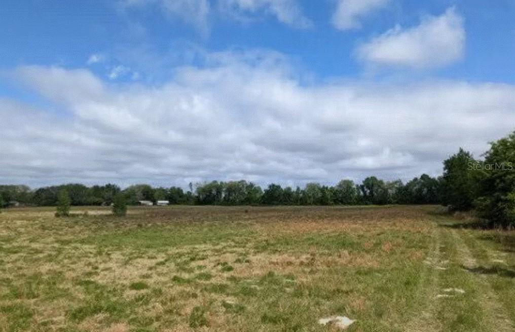 TBD 176th St., Mc Alpin, FL 32062