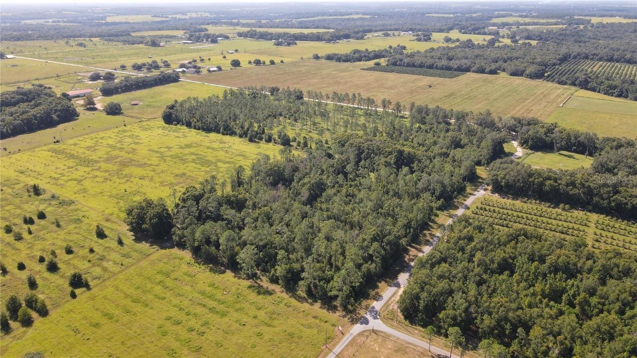 Amberlea Rd., Dade City, FL 33523